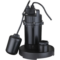 Thermoplastic Submersible Sump Pump, 2560 GPH, 115 V, 4.6 A, 1/3 HP Distribution Jean Lapalme