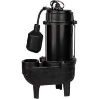 Pompe d'&eacute;gout en fonte, 120 V, 9,5 A, 6000 gal./h, 1/2 CV Distribution Jean Lapalme