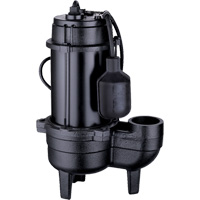 Pompe d'&eacute;gout en fonte, 120 V, 9,5 A, 6000 gal./h, 1/2 CV Distribution Jean Lapalme