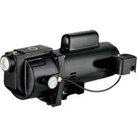 Pompe &agrave; jet en fonte &agrave; double tension pour puit peu profond, 115 V/230 V, 1260 gal./h, 1 CV Distribution Jean Lapalme