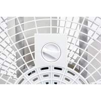 Box Fan, Commercial, 3 Speed, 20" Diameter Distribution Jean Lapalme