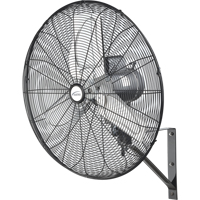 Oscillating Wall Fan, Industrial, 2 Speed, 24" Diameter Distribution Jean Lapalme