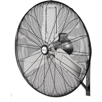 Non-Oscillating Wall Fan, Industrial, 2 Speed, 30" Diameter Distribution Jean Lapalme