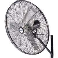 Waterproof Motor Misting & Oscillating Pedestal Fan, Industrial, 3 Speed, 30" Diameter Distribution Jean Lapalme