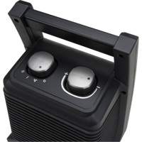Portable Heater, Ceramic, Electric, 5115 BTU/H Distribution Jean Lapalme