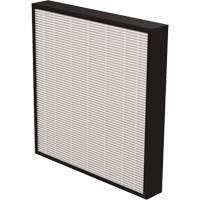 AeraMax&reg; Pro AM3 & AM4 2" True HEPA Filter, Box, 13.75" W x 2.25" D x 14.38" H Distribution Jean Lapalme