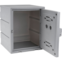 Casier, 15" x 15" x 18", Gris, Assembl&eacute; Distribution Jean Lapalme