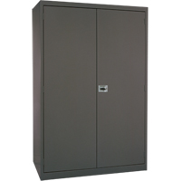 Deep Hi-Boy Storage Cabinet, Steel, 4 Shelves, 72" H x 36" W x 24" D, Charcoal Distribution Jean Lapalme
