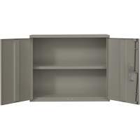 Armoire murale, Acier, 2 Tablettes, 30" h x 36" la x 12" P, Gris Distribution Jean Lapalme