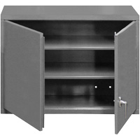 Wall-Mounted Cabinet, 27" H x 29-7/8" W x 13-11/16" D, 2 Shelves, Steel, Grey Distribution Jean Lapalme