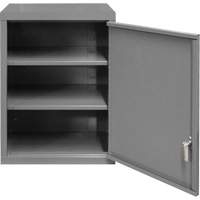 Wall-Mounted Cabinet, 27" H x 13-11/16" W x 18" D, 2 Shelves, Steel, Grey Distribution Jean Lapalme