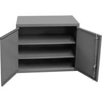 Wall-Mounted Cabinet, 27" H x 13-11/16" W x 35-7/8" D, 2 Shelves, Steel, Grey Distribution Jean Lapalme