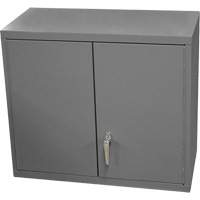 Wall-Mounted Cabinet, 27" H x 13-11/16" W x 35-7/8" D, 2 Shelves, Steel, Grey Distribution Jean Lapalme