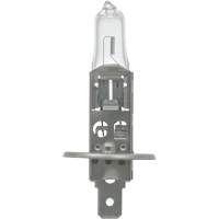 64155 Basic Automotive Bulb, Halogen, 78 W, Off White Distribution Jean Lapalme