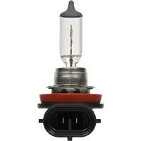 H8 Basic Headlight Bulb, Halogen, 35 W, Off White Distribution Jean Lapalme