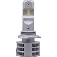 9006 Headlight Bulb, LED, 13.2 W/17 W, White Distribution Jean Lapalme