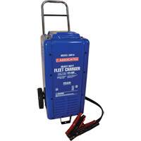 Batteries, Chargers & Accessories