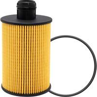 P40147 &eacute;l&eacute;ment filtrant pour l'huile Distribution Jean Lapalme