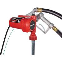 Pompe de transfert de carburant 12 V CC avec pistolet Distribution Jean Lapalme