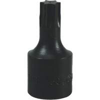 Embout Torx&reg; T-50 Distribution Jean Lapalme