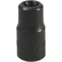 Douille Torx&reg; E-8 Distribution Jean Lapalme