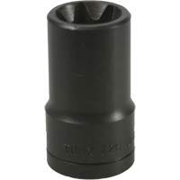 Douille Torx&reg; E-20 Distribution Jean Lapalme