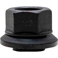 100-Piece Graphite-Coated Skirt Nuts for Pilot Hub Wheels Distribution Jean Lapalme