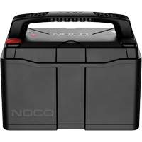 Batterie lithium-ion LiFePO4 &agrave; double usage de groupe 31, 120 Ah Distribution Jean Lapalme