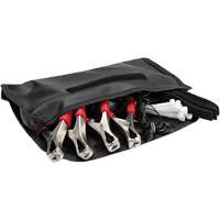 Wireless ChassisEAR Diagnostic Device Kit Distribution Jean Lapalme