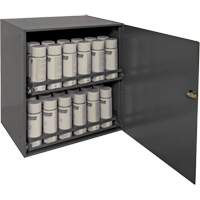 Aerosol Storage Cabinet, Steel, 21-7/8" H x 15-15/16" W x 20-5/16" D, Grey Distribution Jean Lapalme