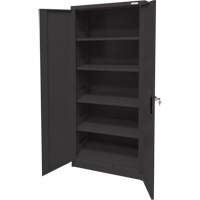 Storage Cabinet, Steel, 4 Shelves, 66" H x 30" W x 15" D, Black Distribution Jean Lapalme