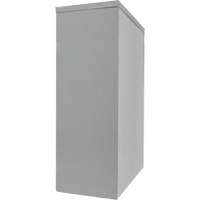 Armoire de rangement &agrave; hauteur de comptoir, Acier, 2 Tablettes, 42" h x 48" la x 24" P, Gris Distribution Jean Lapalme