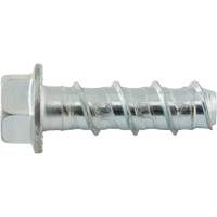 Boulons Wedge Bolts, Acier au carbone, 1/2" x 2" Distribution Jean Lapalme