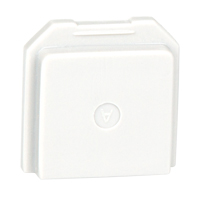 BW Gas Detector Dummy Sensor for Toxic Location Distribution Jean Lapalme