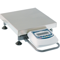 Platform Scales