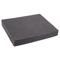 Replacement Foam for REED R8888 Distribution Jean Lapalme