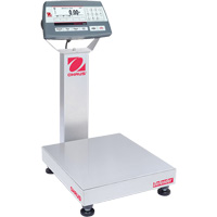 Defender 5000 Multi-Functional Bench Scale, 25  lbs. Capacity, 14" L x 12" W Distribution Jean Lapalme