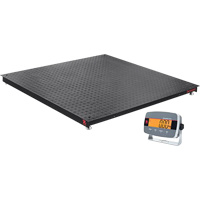 Defender 3000 Floor Scale, 2500 lbs. Capacity, 4' L x 4' W Distribution Jean Lapalme