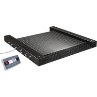 Defender 2500 Drum Scale, 500 lbs. Capacity, 2.5' L x 2.5' W Distribution Jean Lapalme
