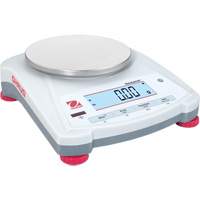 Bench Top Scales