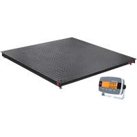 DEFENDER 3000 Floor Scale, 2500 lbs. Capacity, 36" W x 36" L Distribution Jean Lapalme