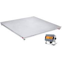 DEFENDER 3000 Floor Scale, 2500 lbs. Capacity, 48" W x 48" L Distribution Jean Lapalme