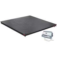 DEFENDER 5000 Floor Scale, 2500 lbs. Capacity, 48" W x 48" L Distribution Jean Lapalme