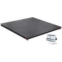 DEFENDER 5000 Floor Scale, 5000 lbs. Capacity, 48" W x 48" L Distribution Jean Lapalme