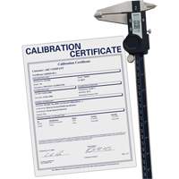 Pied &agrave; coulisse num&eacute;rique avec certificat de traçabilit&eacute;, R&eacute;solution de 0,0005" (0,01 mm), 0" - 12" (0 mm - 300 mm) gamme de mesure Distribution Jean Lapalme
