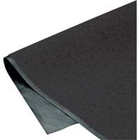 ColorStar Matting, Wiper, 3' x 5' x 3/8", Charcoal Distribution Jean Lapalme
