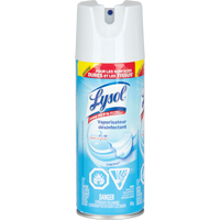 Disinfectant Spray, 350 g, Aerosol Can Distribution Jean Lapalme