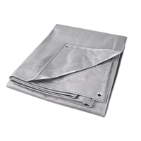 Tarp, Super Heavy-Duty, Silver, 10' x 8' x 12 mils Distribution Jean Lapalme