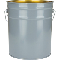 Lined Pail, Steel, 18.9 L Distribution Jean Lapalme