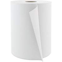 Pro Select Hardwound Hand Towels, 1 Ply, Standard, 600' L Distribution Jean Lapalme